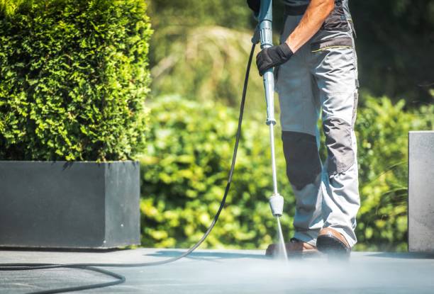 Animal Enclosure Cleaning in Oroville, CA